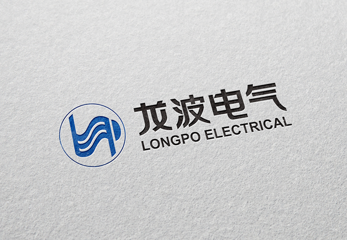 全國人大常委會副委員長華建敏一行來安徽龍波電氣有限公司視察