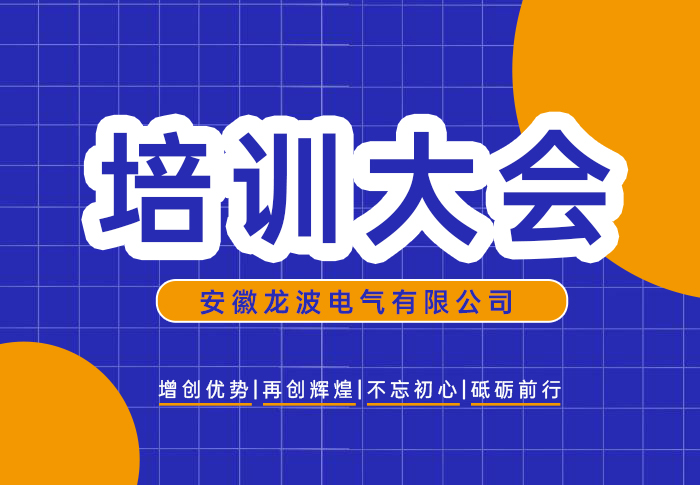 龍波電氣2025年度開年培訓圓滿完成！