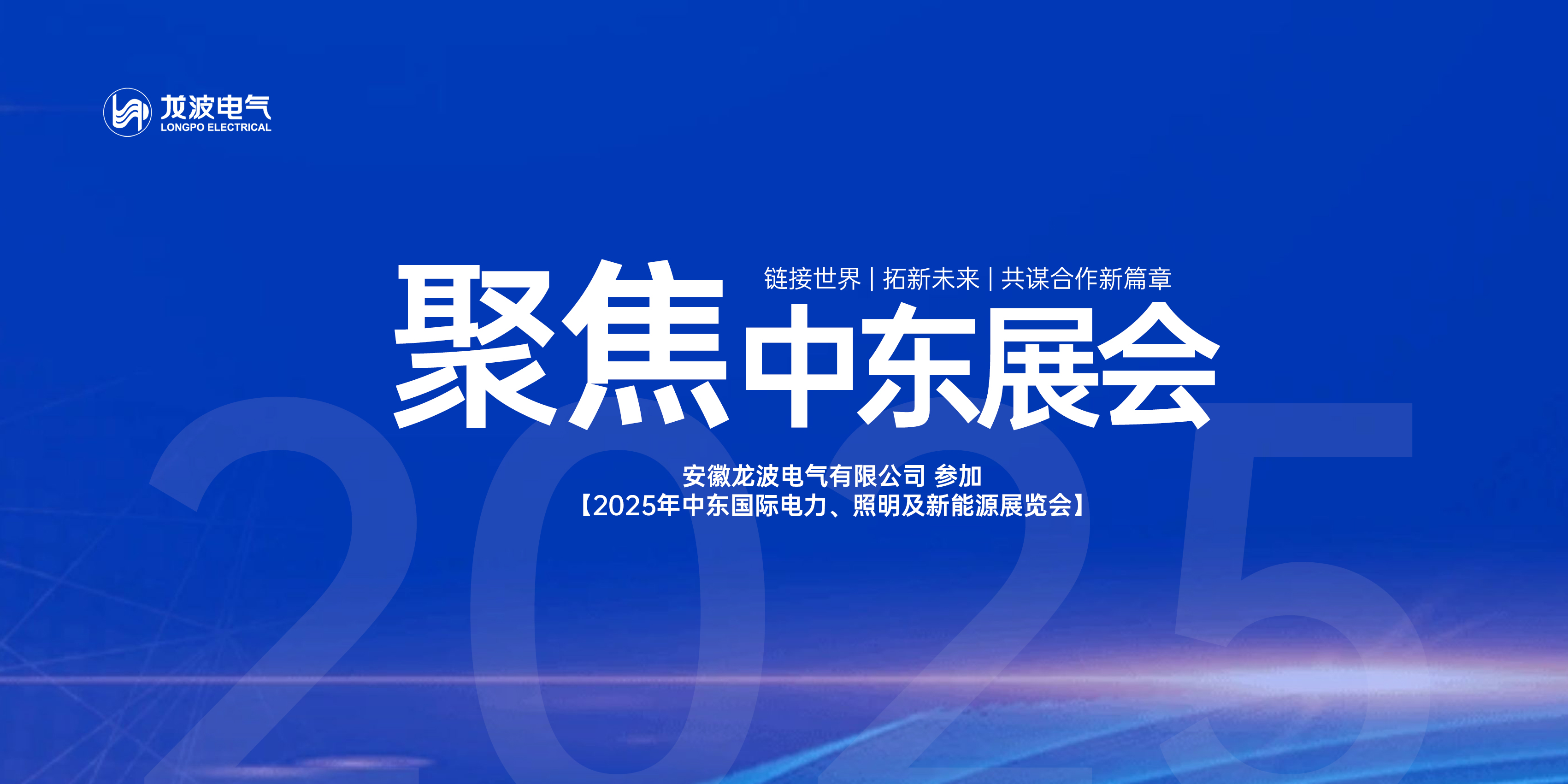鏈接世界，拓新未來，共謀合作新篇章 | 安徽龍波電氣參加2025中東國際電力展覽會